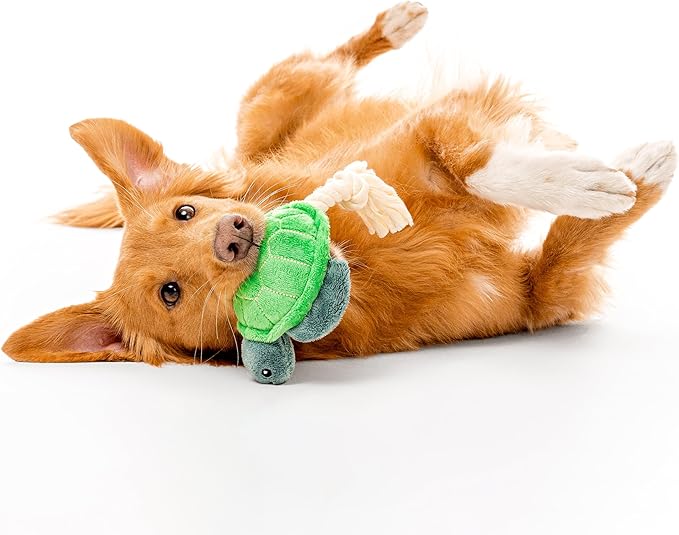 Ocean Collection Dog Toys | Medium Sized Timmy The Turtle | Cute, Durable, & Sustainable Plush Chew Toys for Dogs 25 to 50 lbs | Eco Friendly & 100% Recycled Materials