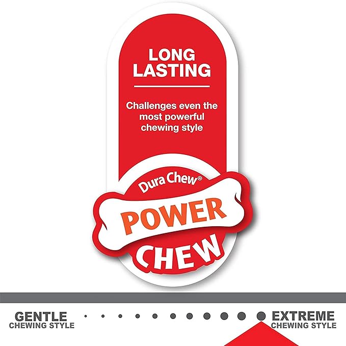 Nylabone Original Bone Power Chew Toy for Dogs, Durable Dog Toys for Aggressive Chewers, Flavor Frenzy Chili Cheese Dog, Popcorn, & Cherry, Small - Up to 25 Ibs, 3 Pack