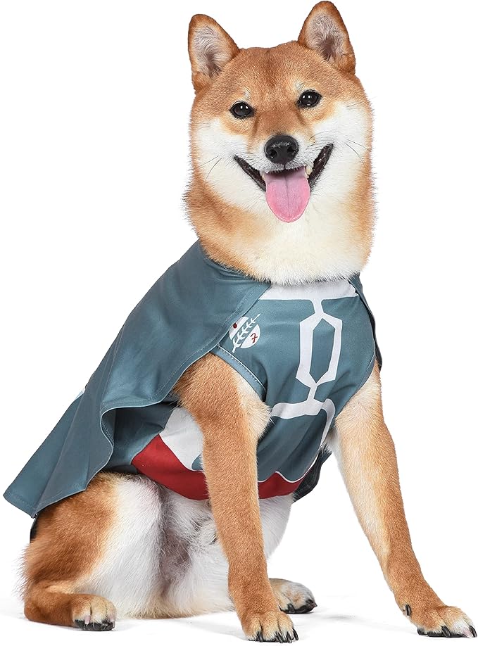 Boba Fett Dog Costume - Extra Small - Officially Licensed Star Wars Halloween Costume
