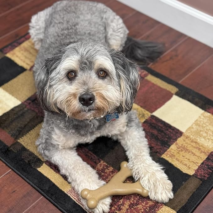 SPOT Bam-Bones Wishbone - Made with Strong Bamboo Fiber, Durable Long Lasting Dog Chew for Light to Moderate Chewers, Great Toy for Adult Dogs & Teething Puppies Under 50lbs, 7in, Chicken Flavor