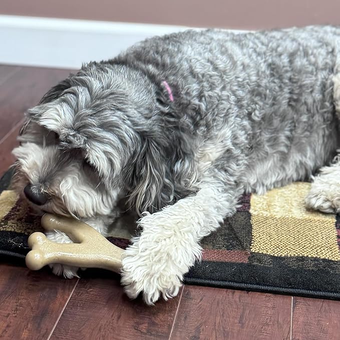 SPOT Bam-Bones Wishbone - Made with Strong Bamboo Fiber, Durable Long Lasting Dog Chew for Light to Moderate Chewers, Great Toy for Adult Dogs & Teething Puppies Under 50lbs, 7in, Chicken Flavor