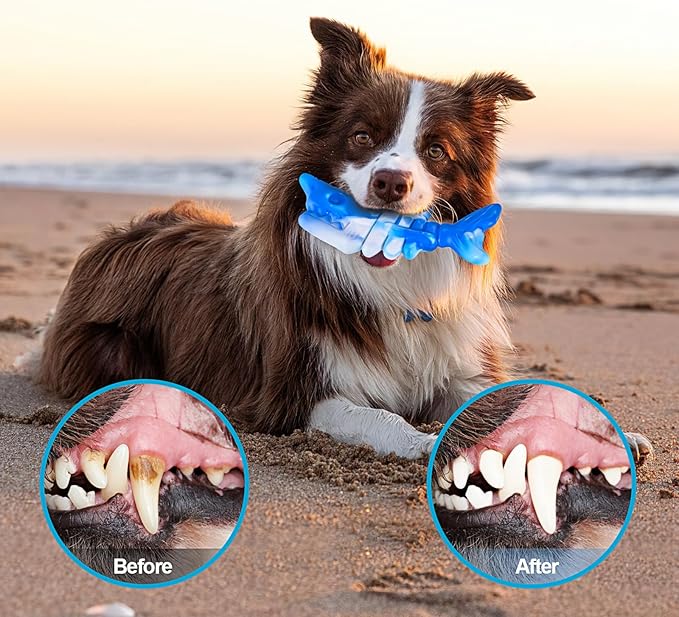 KXK Durable Dog Chew Toys for Aggressive Chewers Large Medium Small Breed, Tough Dog Toys for Large Medium Small Dog and Puppies Teeth Cleaning, Pet Toy with Durable Nylon