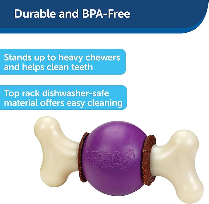PetSafe® Busy Buddy® Bouncy Bone™, Treat Holding Dog Toy, Medium, Best for Dogs 10-50 Lb.