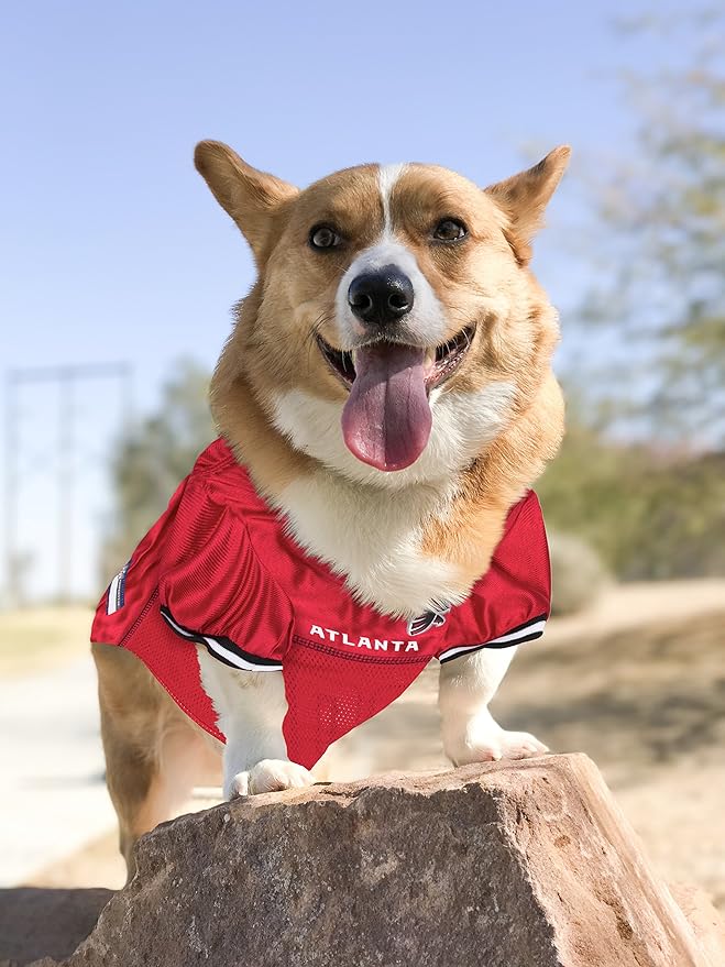 NFL Atlanta Falcons Dog Jersey, Size: XX-Large. Best Football Jersey Costume for Dogs