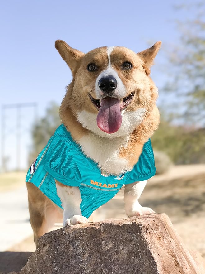 NFL MIAMI DOLPHINS DOG Jersey, X-Small