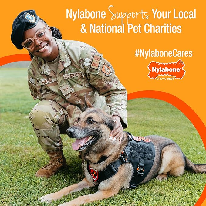 Nylabone Pretzel Power Chew Toy for Dogs, Dog Toys for Aggressive Chewers, Bacon & Peanut Butter Flavor, Small Dogs - Up to 25 Ibs, 1 Count