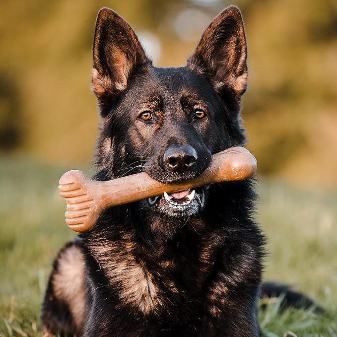 Bulkster Durable Chew Toy for Aggressive Chewers, Real Beef, Made in USA, Giant