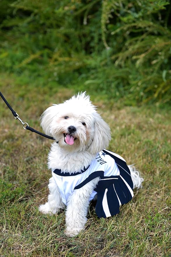 Pets First Dallas Cowboys NFL Cheerleader Dress For Dogs - Size Small
