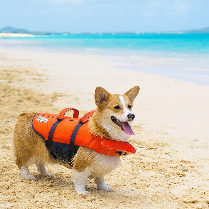 Outward Hound Granby Splash Dog Life Jacket, High-Buoyancy Dog Life Vest for Swimming, Boating, and Water Safety, XS, Orange