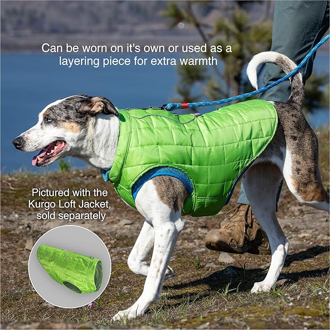 Kurgo Core Dog Sweater, Knit Dog Sweater with Fleece Lining, Cold Weather Pet Jacket, Zipper Opening for Harness, Adjustable Neck, Year-Round Sweater for Small Dogs (Heather Blue, Small)