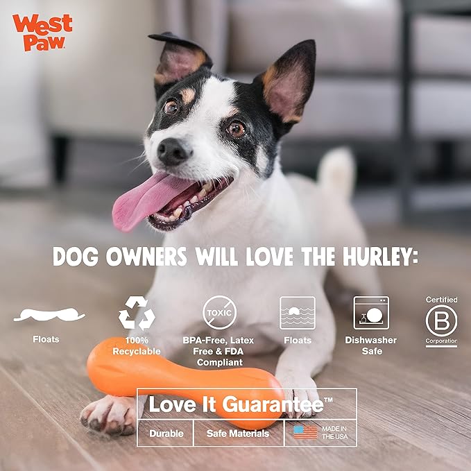 WEST PAW Zogoflex Hurley Dog Bone Chew Toy – Floatable Pet Toys for Aggressive Chewers, Catch, Fetch – Bright-Colored Bones for Dogs – Recyclable, Dishwasher-Safe, Non-Toxic, Large, Aqua