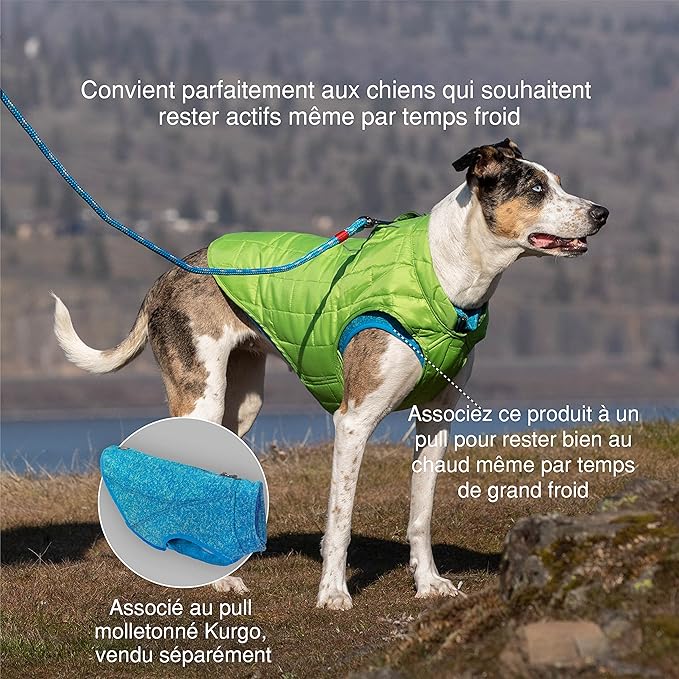 Kurgo Loft Dog Jacket, Reversible Dog Coat, Wear with Harness or Sweater, Water Resistant, Reflective, Winter Coat for Small Dogs (Ink Blue, S)