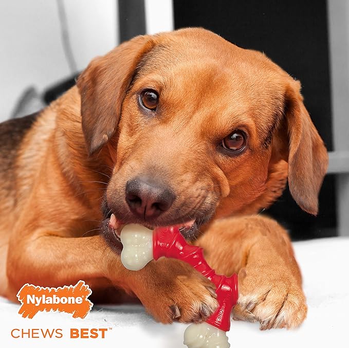 Nylabone Double Bone Power Chew Toy for Dogs, Dog Toys for Aggressive Chewers, Bacon Flavor, Medium - Up to 35 lbs, 1 Count