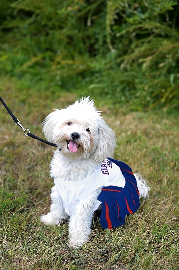 New York Giants NFL Cheerleader Dress For Dogs - Size X-Small