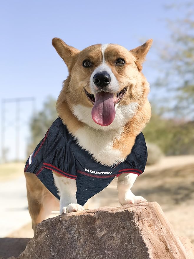 NFL Housotn Texans Dog Jersey, Size: Small. Best Football Jersey Costume for Dogs & Cats. Licensed Jersey Shirt