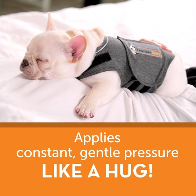 ThunderShirt for Dogs, Small, Heather Gray Classic - Dog Anxiety Relief Calming Vest