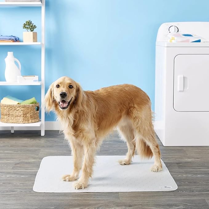 Pet Parents® Pawtect® Pads Washable Pee Pads for Dogs (2pack) of Premium Dog Pee Pads, Waterproof Puppy Pads & Reusable Dog Pads, Whelping Pads & Modern Pee Pads for Dogs (Grey, 41x41)