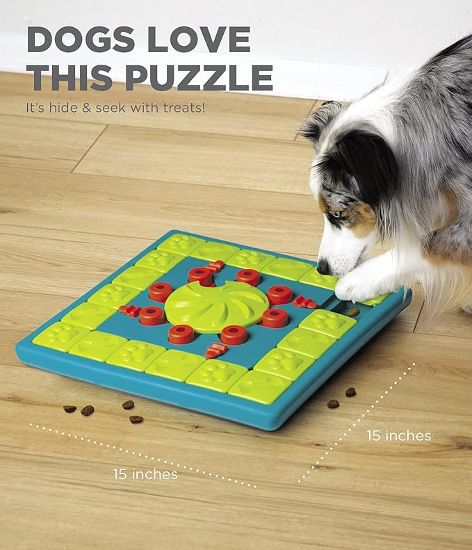 Outward Hound by Nina Ottosson Multipuzzle Level 4 Expert Dog Treat Puzzle for Enrichment, Blue