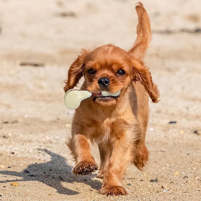 Tikaton Dog Chew Toys for Aggressive Chewers, Beef Flavor Durable Dog Teething Chew Toys Bones for Large/Medium/Small Puppies