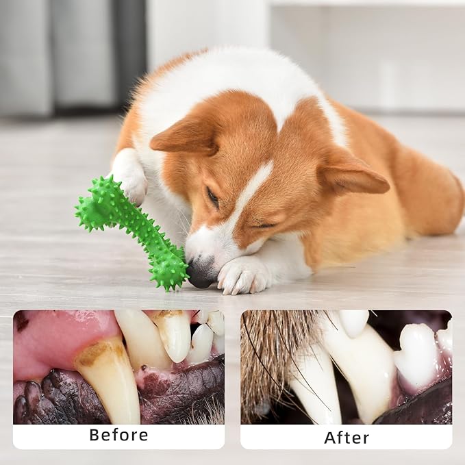 Dog Chew Toys for Aggressive Chewers - Rubber Chew Toys, Bacon Flavor Teething Dog Toys, Interactive Toy for Teeth Cleaning and Gum Massage (2pcs), Bacon Flavour (Green/Blue)
