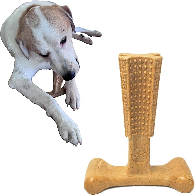 SPOT Bam-Bones Plus T-Bone, Bamboo Fiber & Nylon Dog Chew, Durable for Aggressive Chewers, Non-Splintering, for Adult Dogs & Teething Puppies Under 90lbs, 7in, Chicken Flavor