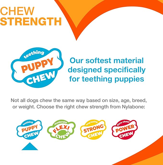 Nylabone New Puppy Starter Kit, 2 Chew Toys and 1 Natural Treat for Puppies, Bacon & Chicken Flavor, Small - Up to 25 lbs, 3 Pack