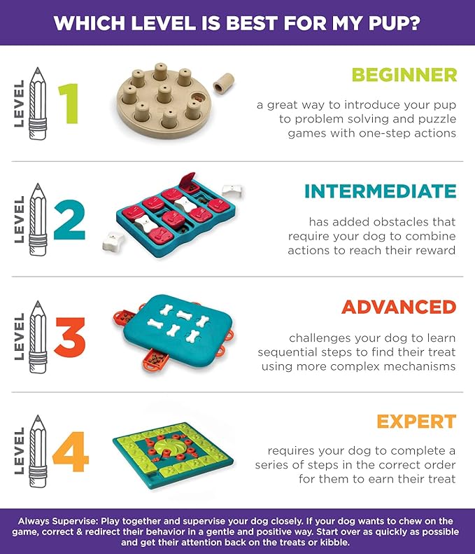 Outward Hound by Nina Ottosson Multipuzzle Level 4 Expert Dog Treat Puzzle for Enrichment, Blue