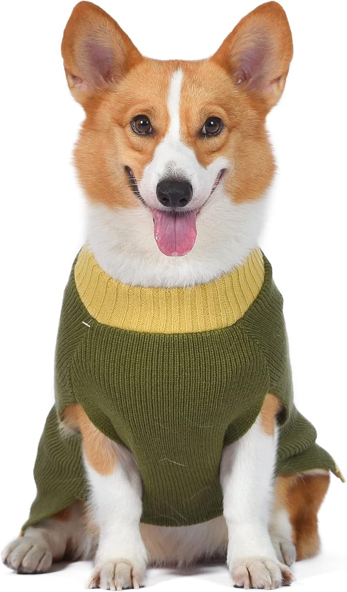 STAR WARS for Pets Boba Fett Dog Sweater, Large (L) | Boba Fett Sweater for Dogs | Pet Apparel, Sweater for Dogs | Gifts for Star Wars Fans, Boba Fett Gift Green