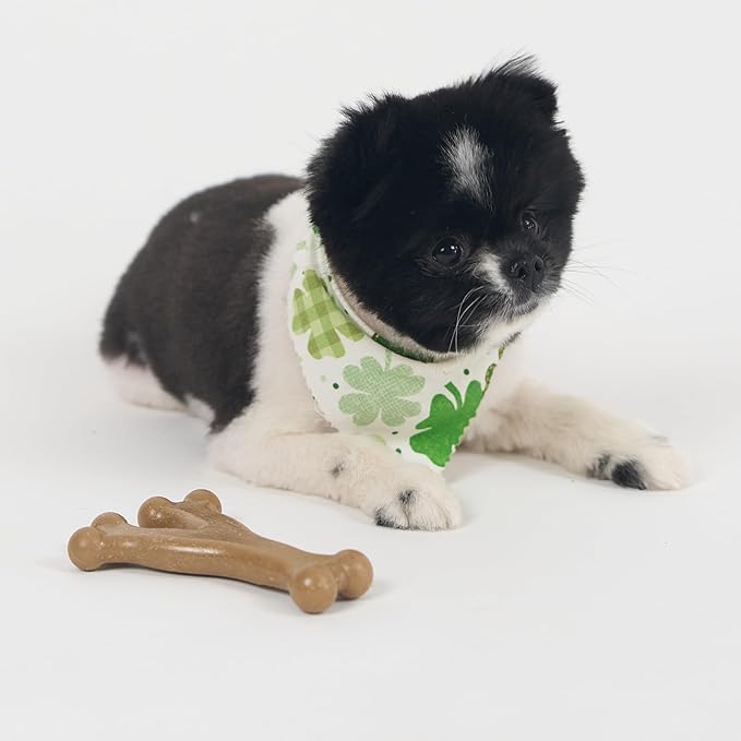 SPOT Bam-Bones Wishbone - Made with Strong Bamboo Fiber, Durable Long Lasting Dog Chew for Light to Moderate Chewers, Great Toy for Adult Dogs & Teething Puppies Under 30lbs, 5.25in, Chicken Flavor