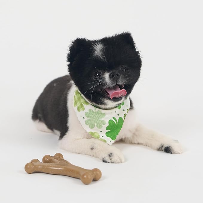 SPOT Bam-Bones Wishbone - Made with Strong Bamboo Fiber, Durable Long Lasting Dog Chew for Light to Moderate Chewers, Great Toy for Adult Dogs & Teething Puppies Under 30lbs, 5.25in, Chicken Flavor