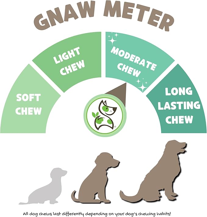 Nature Gnaws Beef Paddywack Tendons for Dogs 5-6" (10 Count) - Long Lasting for Aggressive Chewers - Natural Beef Dog Chew Bones - Rawhide Free