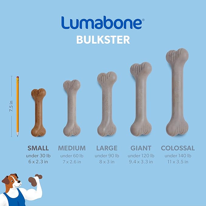 Bulkster Durable Chew Toy for Aggressive Chewers, Real Beef, Made in USA, Small