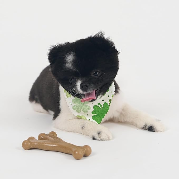 SPOT Bam-Bones Wishbone - Made with Strong Bamboo Fiber, Durable Long Lasting Dog Chew for Light to Moderate Chewers, Great Toy for Adult Dogs & Teething Puppies Under 30lbs, 5.25in, Chicken Flavor
