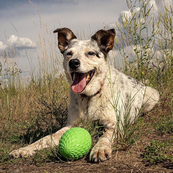 Hound2O Outdoor Dog Toys - Squeaky Football, Green - Tough, Engaging, & Interactive Toy for All Breeds- Chew, Chase, & Fetch - Durable Non-Toxic Materials That Float - Easy to Clean for Outdoor Play