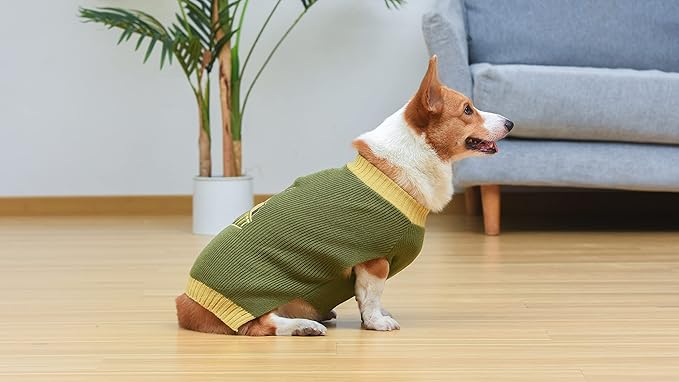 STAR WARS for Pets Boba Fett Dog Sweater, Large (L) | Boba Fett Sweater for Dogs | Pet Apparel, Sweater for Dogs | Gifts for Star Wars Fans, Boba Fett Gift Green