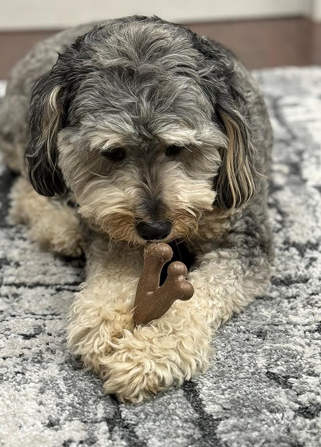 SPOT Bam-Bones Wishbone - Made with Strong Bamboo Fiber, Durable Long Lasting Dog Chew for Light to Moderate Chewers, Great Toy for Adult Dogs & Teething Puppies Under 30lbs, 5.25in, Chicken Flavor