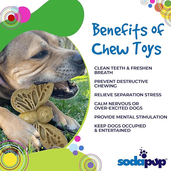 SodaPup Butterfly – Durable Dog Chew Toy Made in USA from Non-Toxic, Pet Safe, Food Safe Nylon Material for Mental Stimulation, Clean Teeth, Fresh Breath, Problem Chewing, Calming Nerves & More