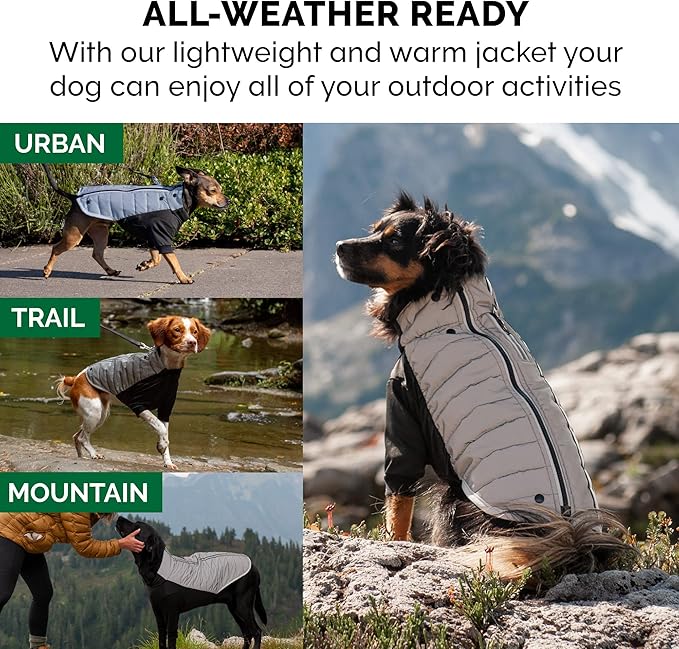 Furhaven Water-Repellent XL Dog Coat, Washable & Reflective w/ Leash Access & Stretch Fabric - Pro-Fit Active Jacket - Chrome, Extra Large