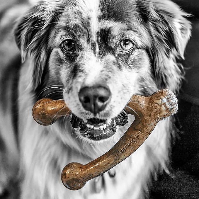 Pet Qwerks Wishbone BarkBone - Nylon Chew Toy for Aggressive Chewers - Bacon Flavor - 6.75"