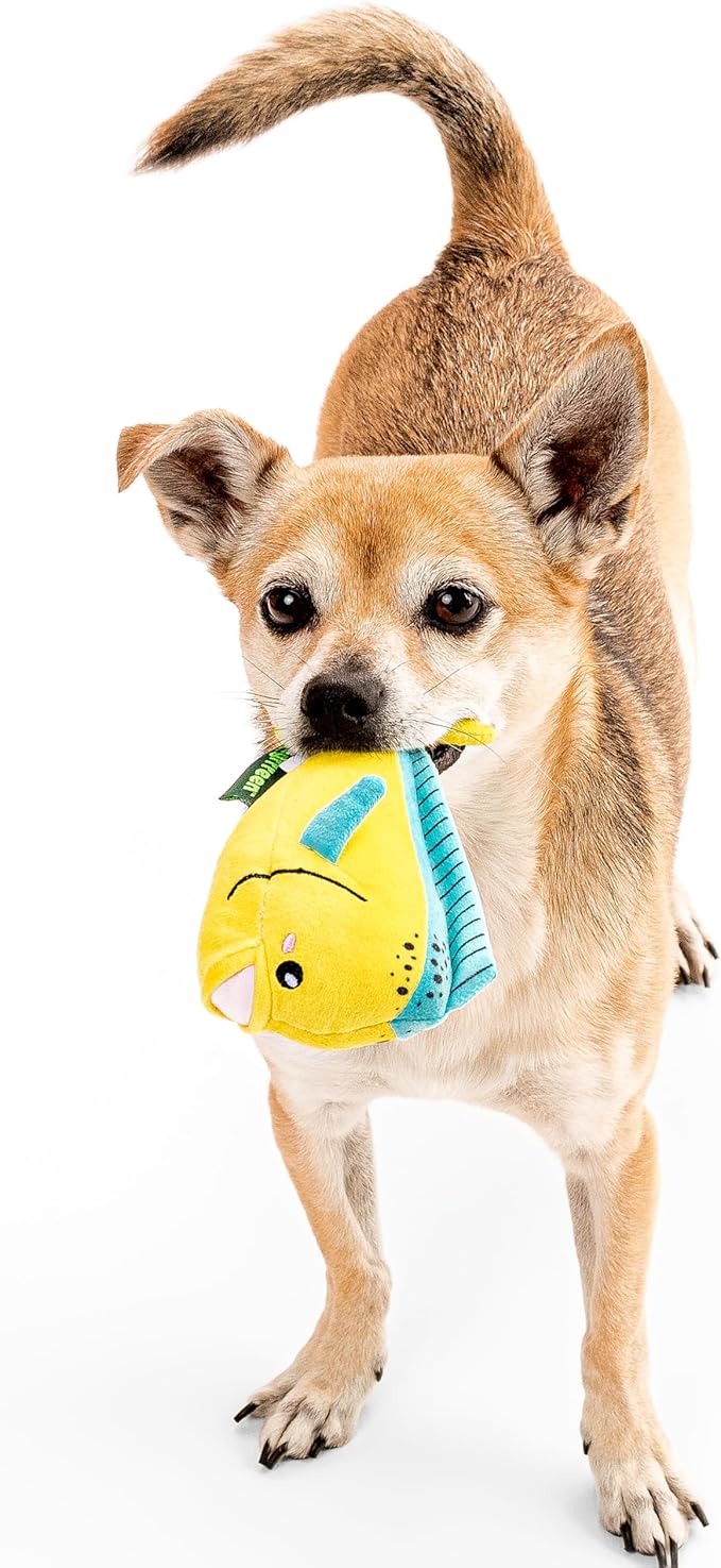 Ocean Collection Dog Toys | Small Sized Mandi The Mahi Mahi | Cute, Durable, & Sustainable Plush Chew Toys for Dogs up to 25 lbs | Eco Friendly & 100% Recycled Materials