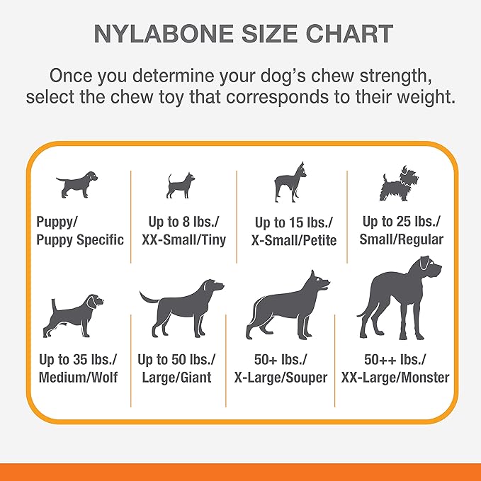 Nylabone Flavor Frenzy Dental Bone Power Chew Toy, Dog Toys for Aggressive Chewers, Philly Cheesesteak, Medium - Up to 35 lbs, 1 Count