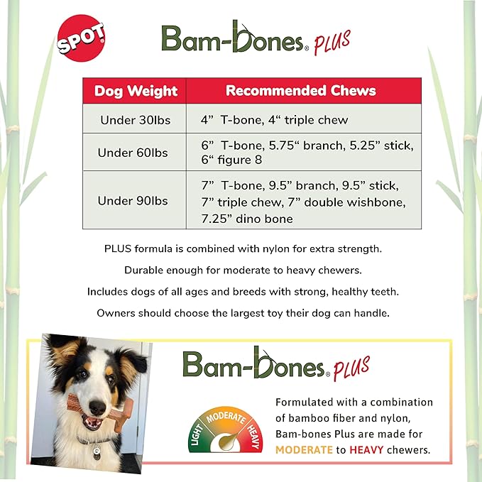 SPOT Bam-Bones Plus T-Bone, Bamboo Fiber & Nylon Dog Chew, Durable for Aggressive Chewers, Non-Splintering, for Adult Dogs & Teething Puppies Under 90lbs, 7in, Chicken Flavor