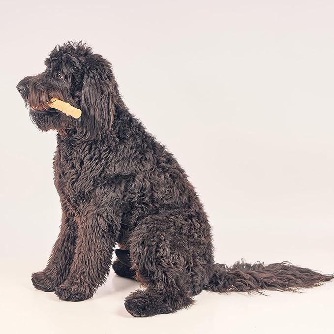 SPOT Bam-Bones Plus Bamboo Stick - Bamboo Fiber & Nylon, Durable Long Lasting Dog Chew for Aggressive Chewers – Great Toy for Adult Dogs & Puppies Under 90lbs, Non-Splintering, 9.5in, Chicken Flavor