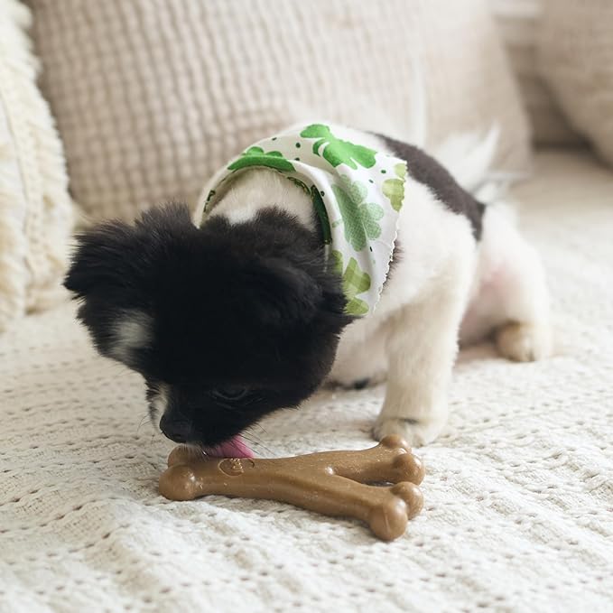 SPOT Bam-Bones Wishbone - Made with Strong Bamboo Fiber, Durable Long Lasting Dog Chew for Light to Moderate Chewers, Great Toy for Adult Dogs & Teething Puppies Under 30lbs, 5.25in, Chicken Flavor