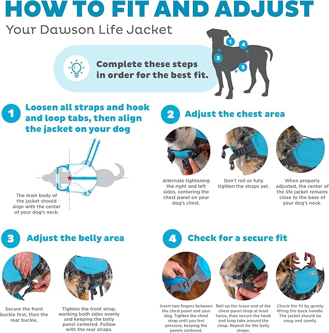 Outward Hound Dawson Swim Dog Life Jacket, High-Performance Neoprene Dog Life Vest for Swimming, Boating, and Water Safety, XS, Blue