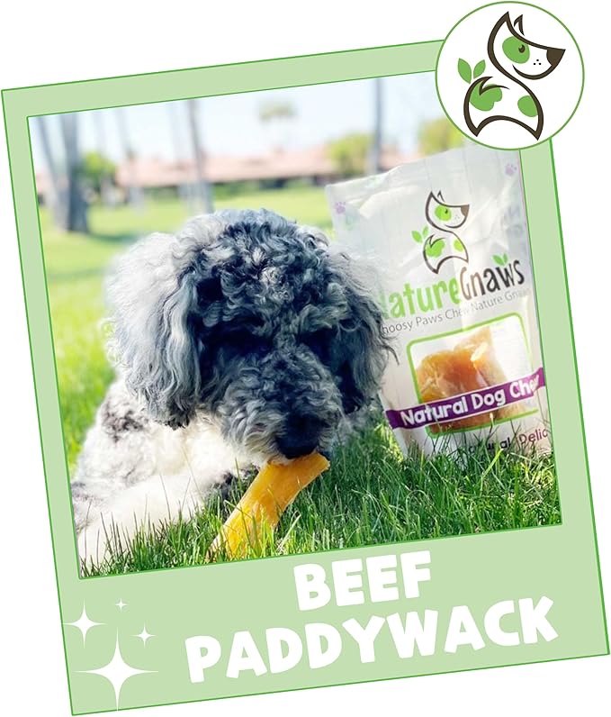 Nature Gnaws Beef Paddywack Tendons for Dogs 5-6" (10 Count) - Long Lasting for Aggressive Chewers - Natural Beef Dog Chew Bones - Rawhide Free