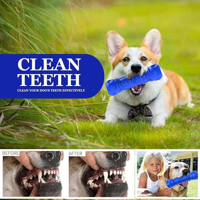 Dog Squeaky Toys for Aggressive Chewers, Durable Chew Toys for Medium Breed Dog, Tough Durable Toys with Natural Rubber