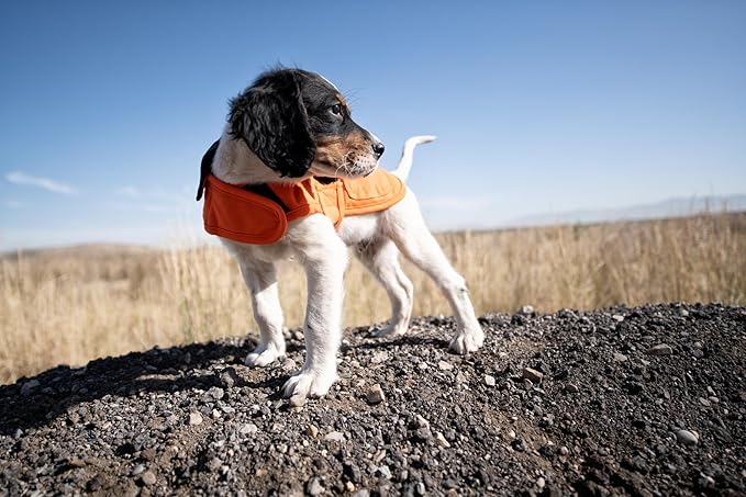 Carhartt Gear P0000340 Firm Duck Insulated Dog Chore Coat Large Hunter Orange