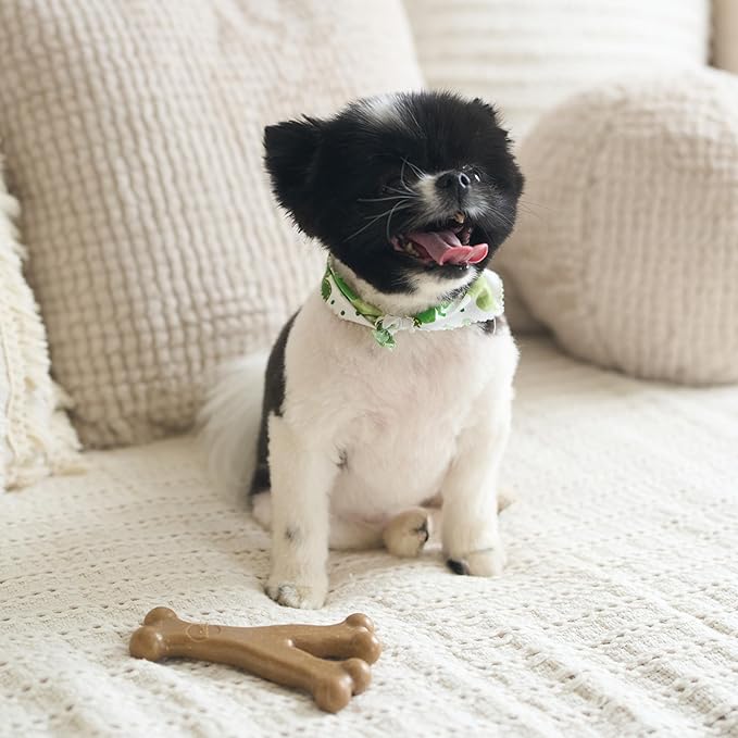 SPOT Bam-Bones Wishbone - Made with Strong Bamboo Fiber, Durable Long Lasting Dog Chew for Light to Moderate Chewers, Great Toy for Adult Dogs & Teething Puppies Under 30lbs, 5.25in, Chicken Flavor