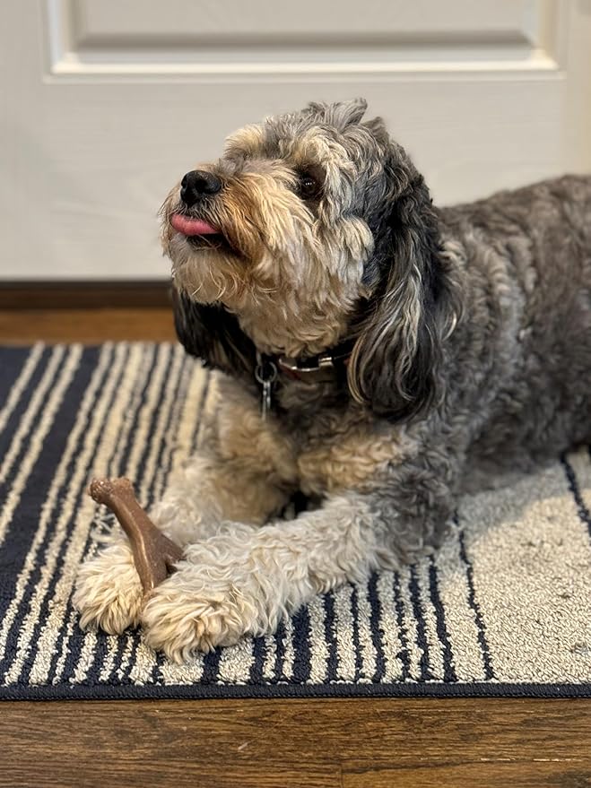 SPOT Bam-Bones Wishbone - Made with Strong Bamboo Fiber, Durable Long Lasting Dog Chew for Light to Moderate Chewers, Great Toy for Adult Dogs & Teething Puppies Under 30lbs, 5.25in, Chicken Flavor